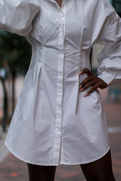 Pretty Please Shirt Dress