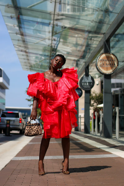 OhSoDashing Ruffle Dress